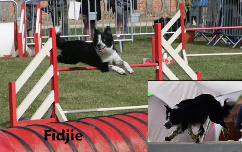Fidji (Sans Affixe)