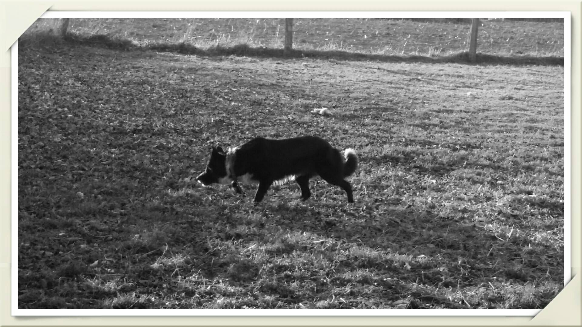 Lénisse De L'etoile Du Bord De Vire